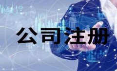 注册独资公司和注册合资公司的优势与劣势